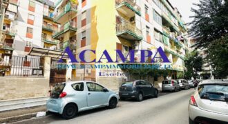 PARCO KENNEDY AMPIO 4 VANI CON DOPPI ACCESSORI