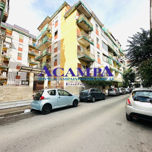 PARCO KENNEDY AMPIO 4 VANI CON DOPPI ACCESSORI
